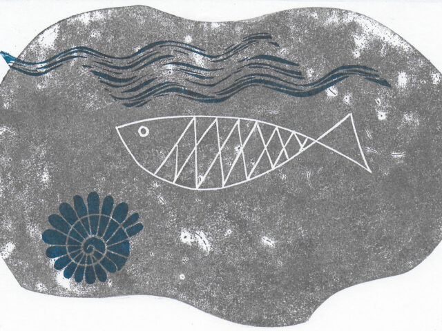 Les poissons des Voirons, DR Cécile Quinson